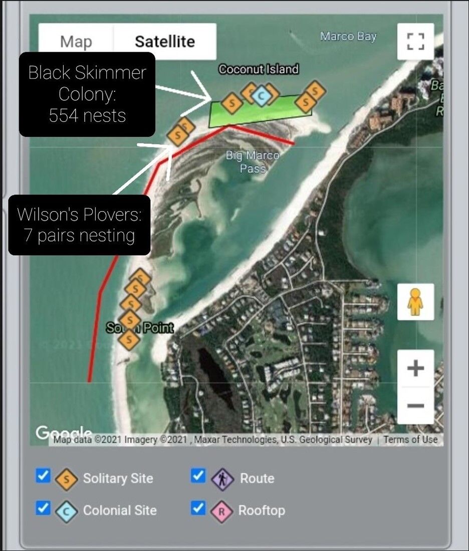 Tigertail Lagoon 1. Map below of current beach nesting birds at north tip of Sand Dollar.jpg